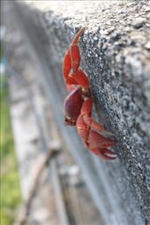 by kiwiaoraki, Views[78]