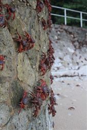 by kiwiaoraki, Views[75]