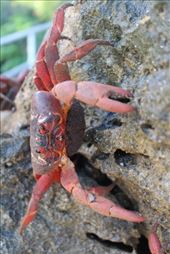 by kiwiaoraki, Views[75]