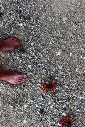 by kiwiaoraki, Views[75]