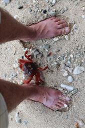 by kiwiaoraki, Views[60]