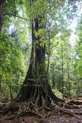 by kiwiaoraki, Views[77]