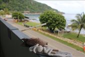 by kiwiaoraki, Views[95]
