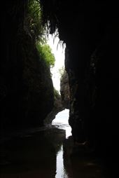 by kiwiaoraki, Views[97]