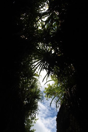 Sky of blue above Anderson's Dale