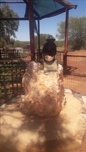 by kiwiaoraki, Views[192]