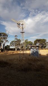 by kiwiaoraki, Views[150]