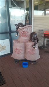 by kiwiaoraki, Views[67]