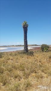 by kiwiaoraki, Views[100]