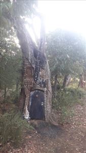 by kiwiaoraki, Views[79]