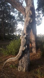 by kiwiaoraki, Views[73]