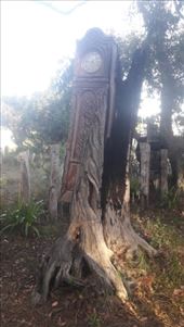 by kiwiaoraki, Views[82]