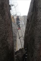 by kiwiaoraki, Views[84]