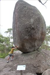 by kiwiaoraki, Views[92]