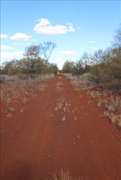 by kiwiaoraki, Views[76]