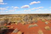 by kiwiaoraki, Views[57]