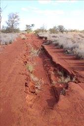 by kiwiaoraki, Views[86]