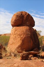 by kiwiaoraki, Views[356]