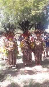 by kiwiaoraki, Views[174]