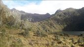 by kiwiaoraki, Views[110]