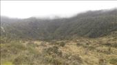 by kiwiaoraki, Views[98]