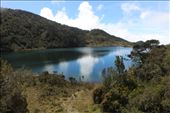 by kiwiaoraki, Views[189]