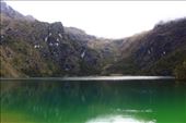 by kiwiaoraki, Views[156]