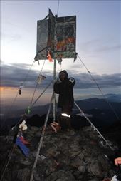 by kiwiaoraki, Views[64]