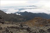 by kiwiaoraki, Views[84]