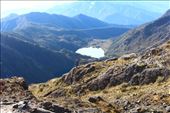 by kiwiaoraki, Views[102]