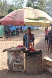 by kiwiaoraki, Views[188]