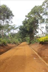 by kiwiaoraki, Views[170]