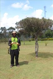 by kiwiaoraki, Views[161]