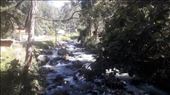 by kiwiaoraki, Views[166]