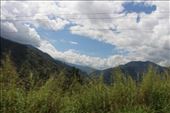 by kiwiaoraki, Views[197]