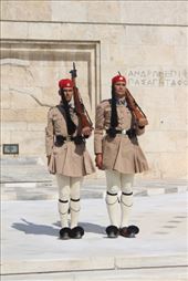 by kiwiaoraki, Views[73]