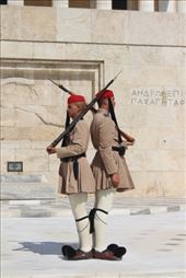 by kiwiaoraki, Views[77]