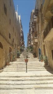 by kiwiaoraki, Views[74]