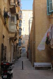 by kiwiaoraki, Views[79]