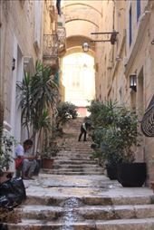 by kiwiaoraki, Views[70]