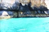 by kiwiaoraki, Views[72]