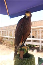 by kiwiaoraki, Views[74]