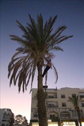 by kiwiaoraki, Views[171]