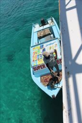 by kiwiaoraki, Views[73]