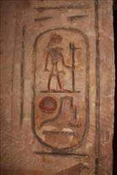 by kiwiaoraki, Views[64]