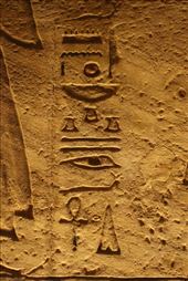 by kiwiaoraki, Views[84]