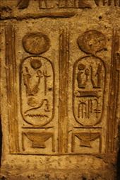 by kiwiaoraki, Views[88]