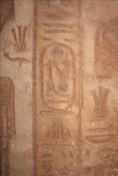 by kiwiaoraki, Views[70]