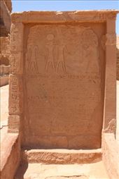 by kiwiaoraki, Views[65]