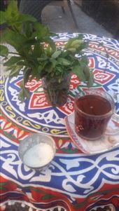 by kiwiaoraki, Views[282]